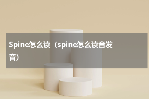 Spine怎么读（spine怎么读音发音）