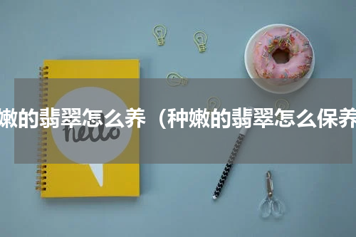 种嫩的翡翠怎么养（种嫩的翡翠怎么保养）