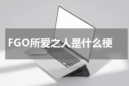 FGO所爱之人是什么梗