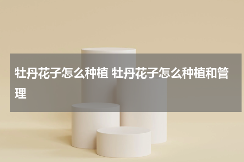 牡丹花子怎么种植 牡丹花子怎么种植和管理