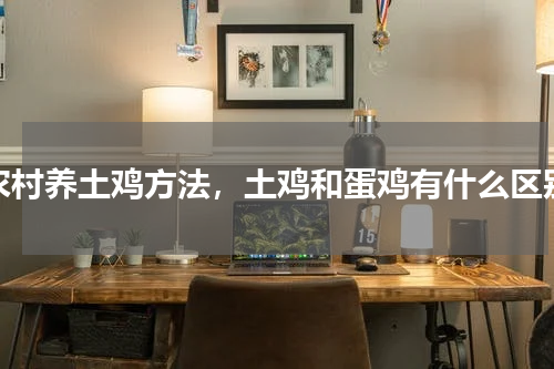 农村养土鸡方法，土鸡和蛋鸡有什么区别