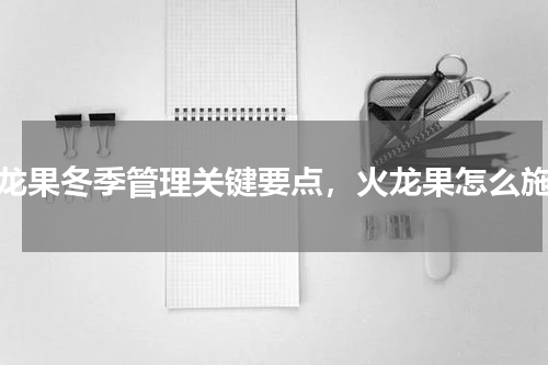 火龙果冬季管理关键要点，火龙果怎么施肥