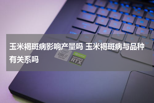 玉米褐斑病影响产量吗 玉米褐斑病与品种有关系吗