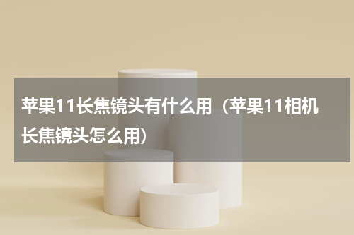 苹果11长焦镜头有什么用（苹果11相机长焦镜头怎么用）