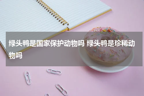 绿头鸭是国家保护动物吗 绿头鸭是珍稀动物吗