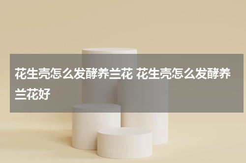 花生壳怎么发酵养兰花 花生壳怎么发酵养兰花好