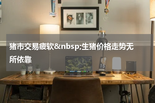猪市交易疲软&nbsp;生猪价格走势无所依靠