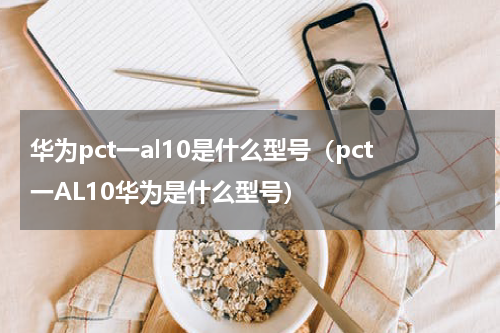 华为pct一al10是什么型号（pct一AL10华为是什么型号）