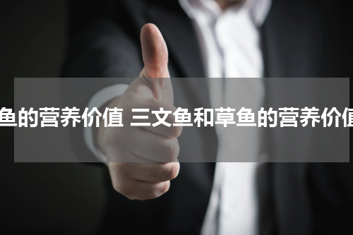 草鱼的营养价值 三文鱼和草鱼的营养价值
