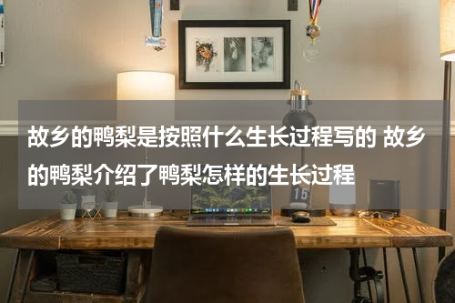 故乡的鸭梨是按照什么生长过程写的 故乡的鸭梨介绍了鸭梨怎样的生长过程