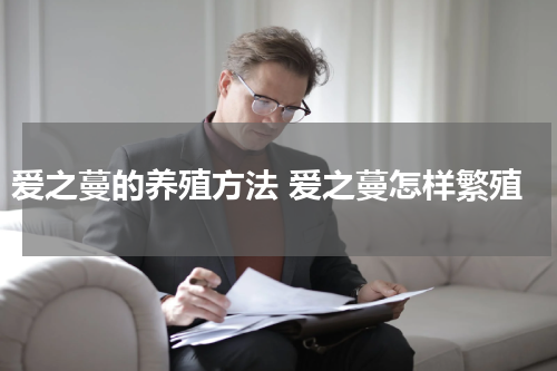 爱之蔓的养殖方法 爱之蔓怎样繁殖