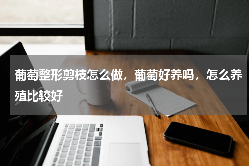 葡萄整形剪枝怎么做，葡萄好养吗，怎么养殖比较好