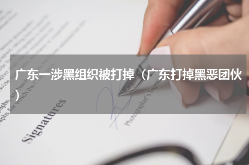 广东一涉黑组织被打掉（广东打掉黑恶团伙）