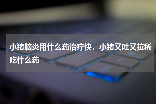 小猪脑炎用什么药治疗快，小猪又吐又拉稀吃什么药