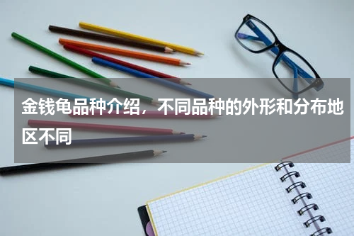 金钱龟品种介绍，不同品种的外形和分布地区不同