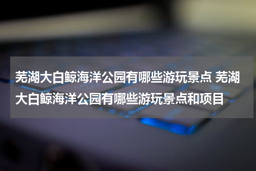 芜湖大白鲸海洋公园有哪些游玩景点 芜湖大白鲸海洋公园有哪些游玩景点和项目
