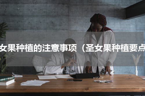 圣女果种植的注意事项（圣女果种植要点）