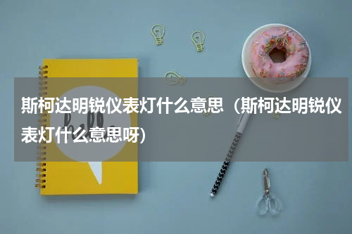 斯柯达明锐仪表灯什么意思（斯柯达明锐仪表灯什么意思呀）