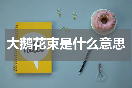 大鹅花束是什么意思