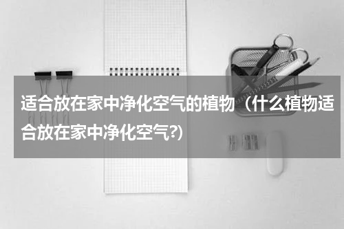 适合放在家中净化空气的植物（什么植物适合放在家中净化空气?）