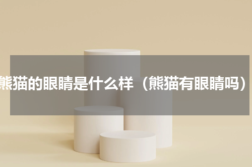 熊猫的眼睛是什么样（熊猫有眼睛吗）