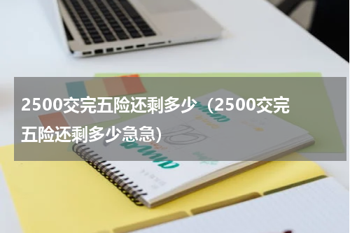 2500交完五险还剩多少（2500交完五险还剩多少急急）