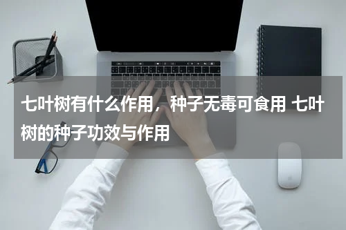 七叶树有什么作用，种子无毒可食用 七叶树的种子功效与作用