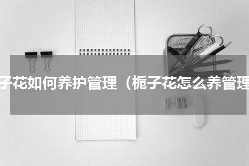 栀子花如何养护管理（栀子花怎么养管理）