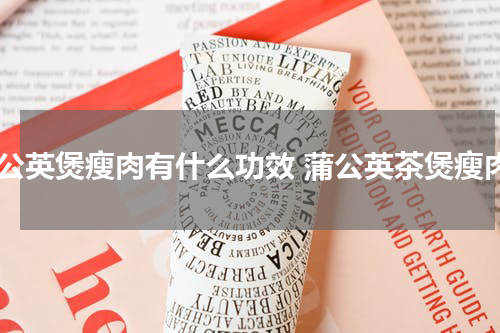 浦公英煲瘦肉有什么功效 蒲公英茶煲瘦肉