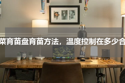 蔬菜育苗盘育苗方法，温度控制在多少合适