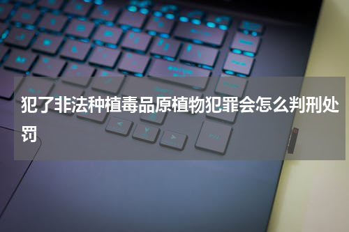 犯了非法种植毒品原植物犯罪会怎么判刑处罚
