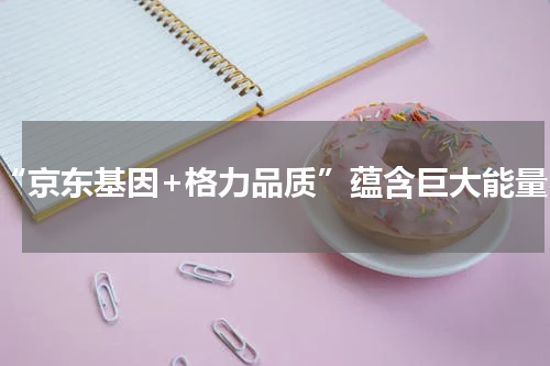 “京东基因+格力品质”蕴含巨大能量