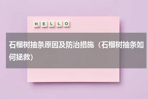 石榴树抽条原因及防治措施（石榴树抽条如何拯救）