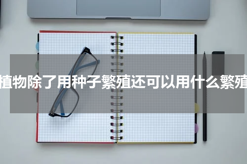 植物除了用种子繁殖还可以用什么繁殖