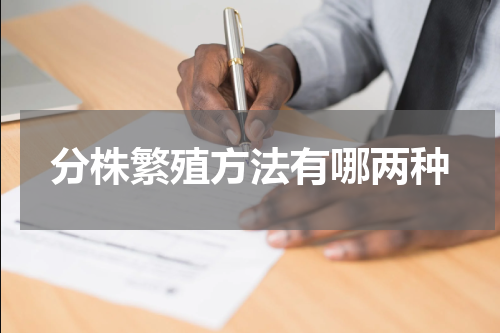 分株繁殖方法有哪两种
