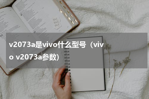 v2073a是vivo什么型号（vivo v2073a参数）