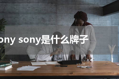 sony sony是什么牌子