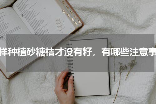 怎样种植砂糖桔才没有籽，有哪些注意事项