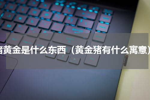 猪黄金是什么东西（黄金猪有什么寓意）