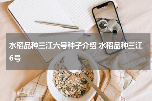 水稻品种三江六号种子介绍 水稻品种三江6号