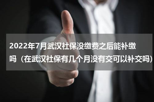 2022年7月武汉社保没缴费之后能补缴吗（在武汉社保有几个月没有交可以补交吗）