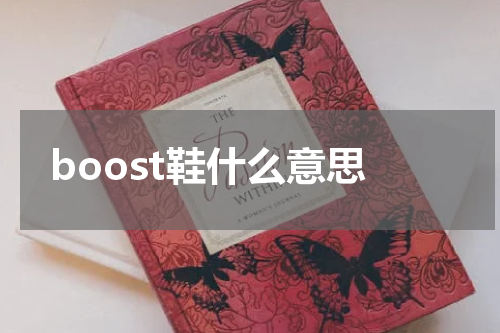 boost鞋什么意思