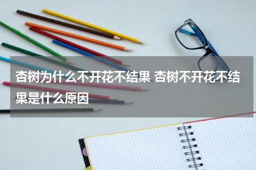 杏树为什么不开花不结果 杏树不开花不结果是什么原因