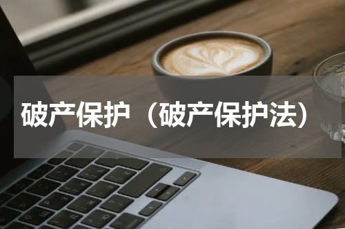 破产保护（破产保护法）
