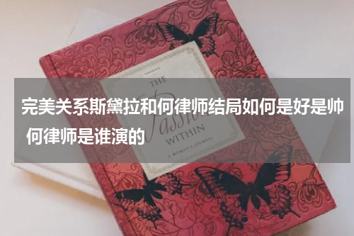 完美关系斯黛拉和何律师结局如何是好是帅 何律师是谁演的