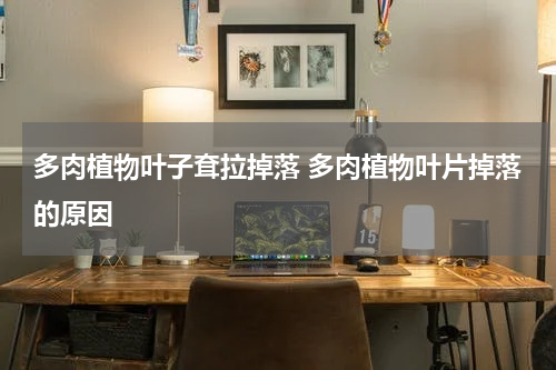 多肉植物叶子耷拉掉落 多肉植物叶片掉落的原因