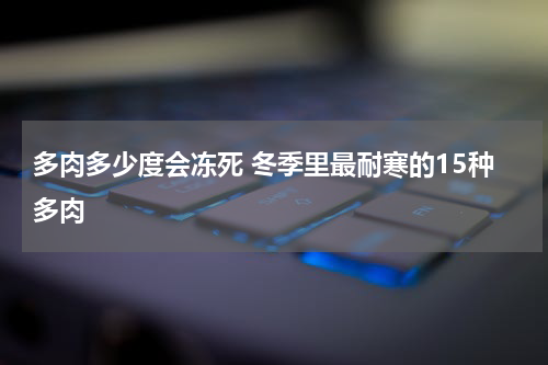 多肉多少度会冻死 冬季里最耐寒的15种多肉