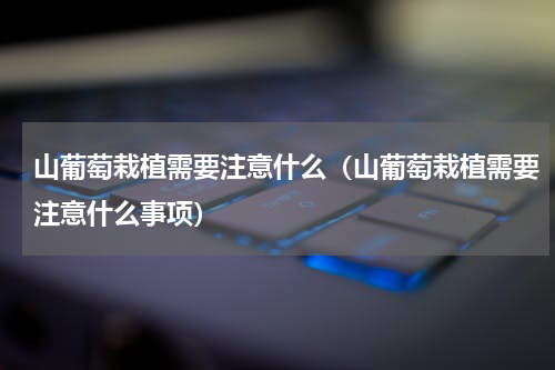 山葡萄栽植需要注意什么（山葡萄栽植需要注意什么事项）