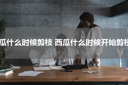 西瓜什么时候剪枝 西瓜什么时候开始剪枝