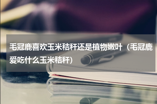 毛冠鹿喜欢玉米秸秆还是植物嫩叶（毛冠鹿爱吃什么玉米秸秆）